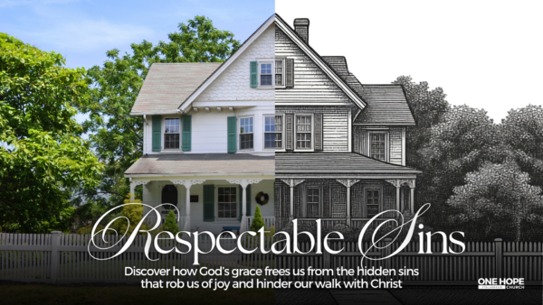 Respectable Sins 